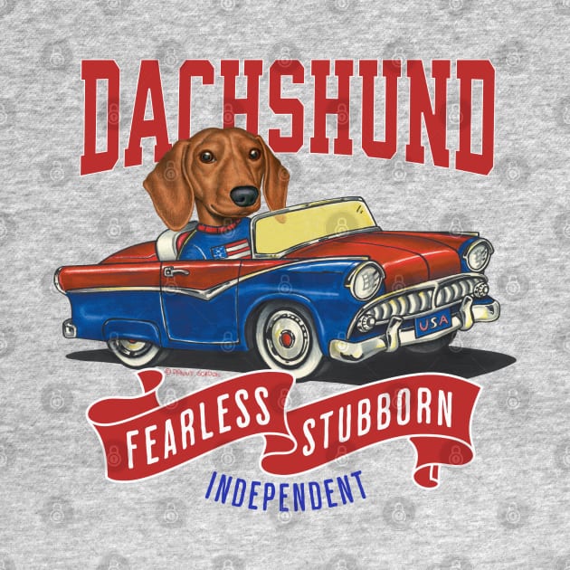 Humor Funny and Cute Doxie Dachshund dog driving a Vintage car with classic red white and blue flags for a retro parade by Danny Gordon Art